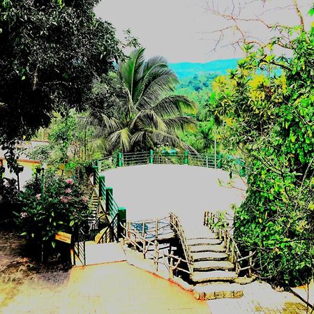 Rainforest Lodge, Deniyaya Singheraja Экстерьер фото