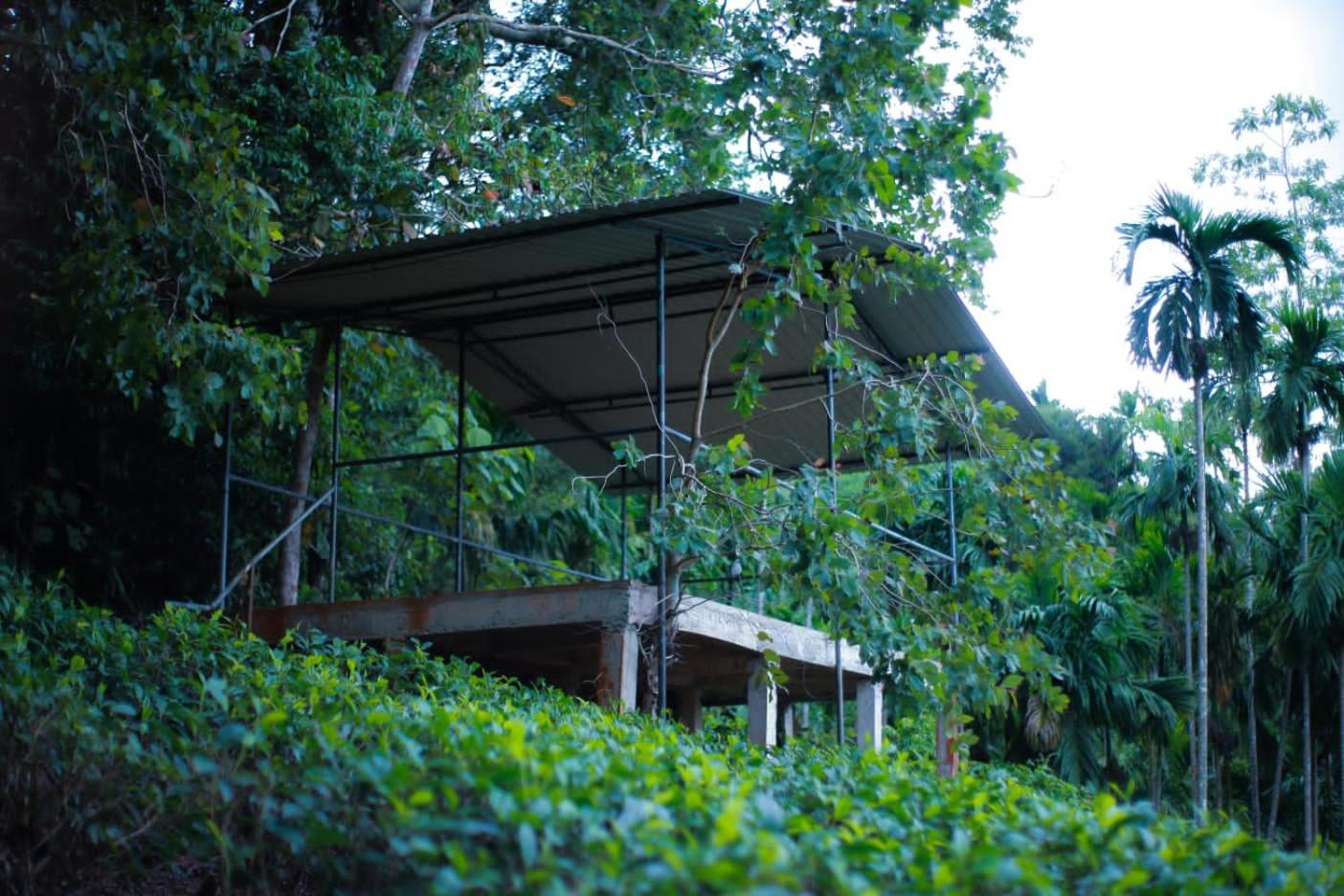 Rainforest Lodge, Deniyaya Singheraja Экстерьер фото
