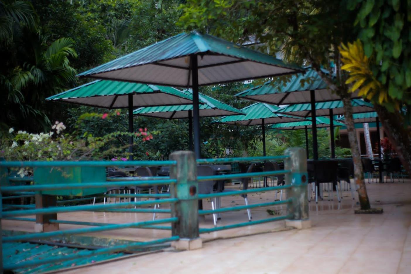 Rainforest Lodge, Deniyaya Singheraja Экстерьер фото