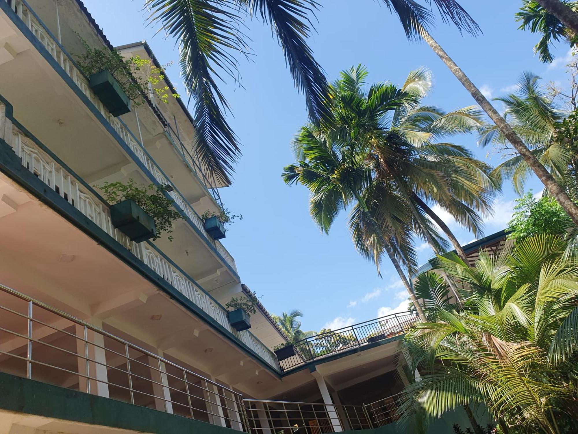 Rainforest Lodge, Deniyaya Singheraja Экстерьер фото
