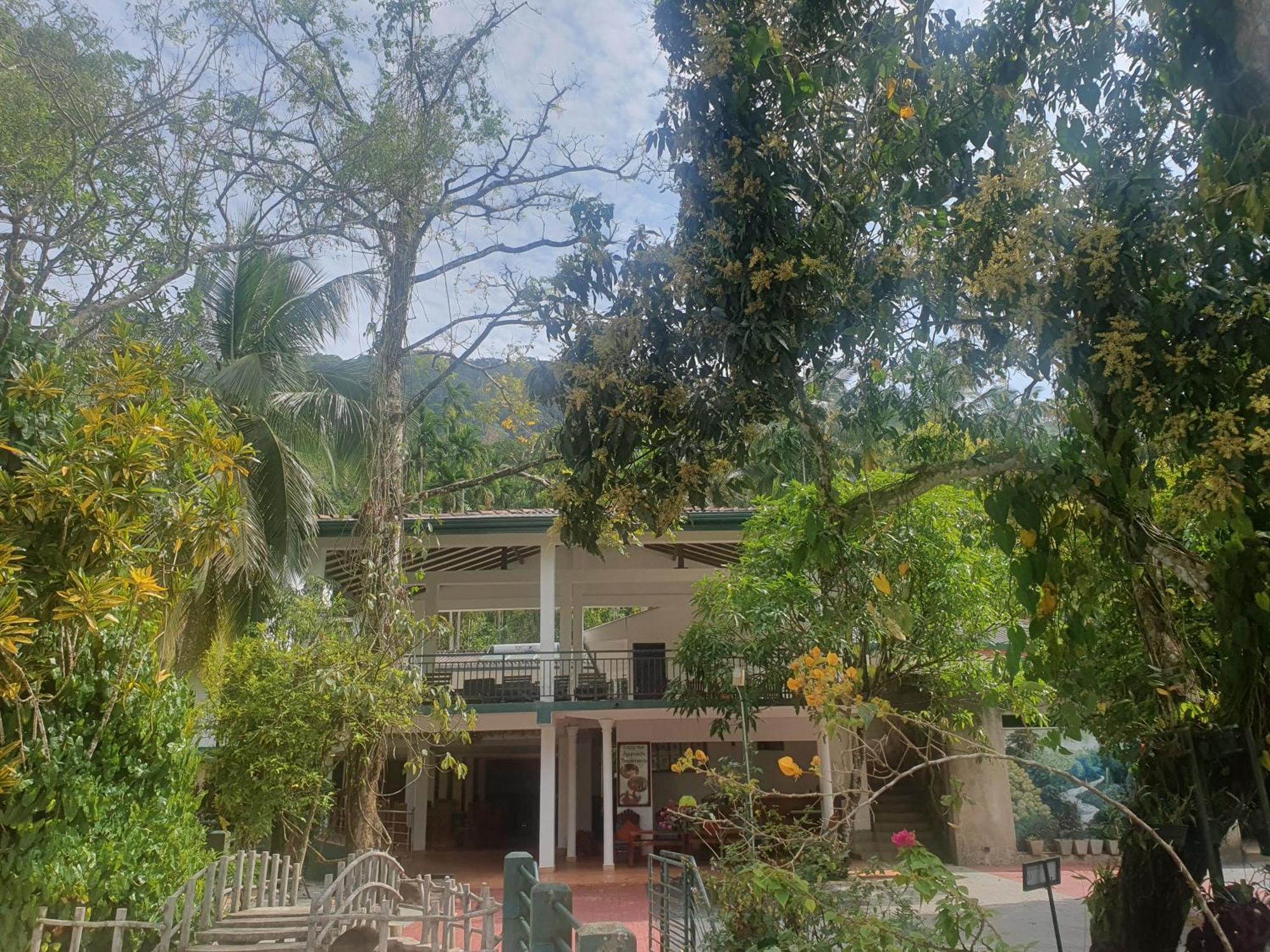 Rainforest Lodge, Deniyaya Singheraja Экстерьер фото