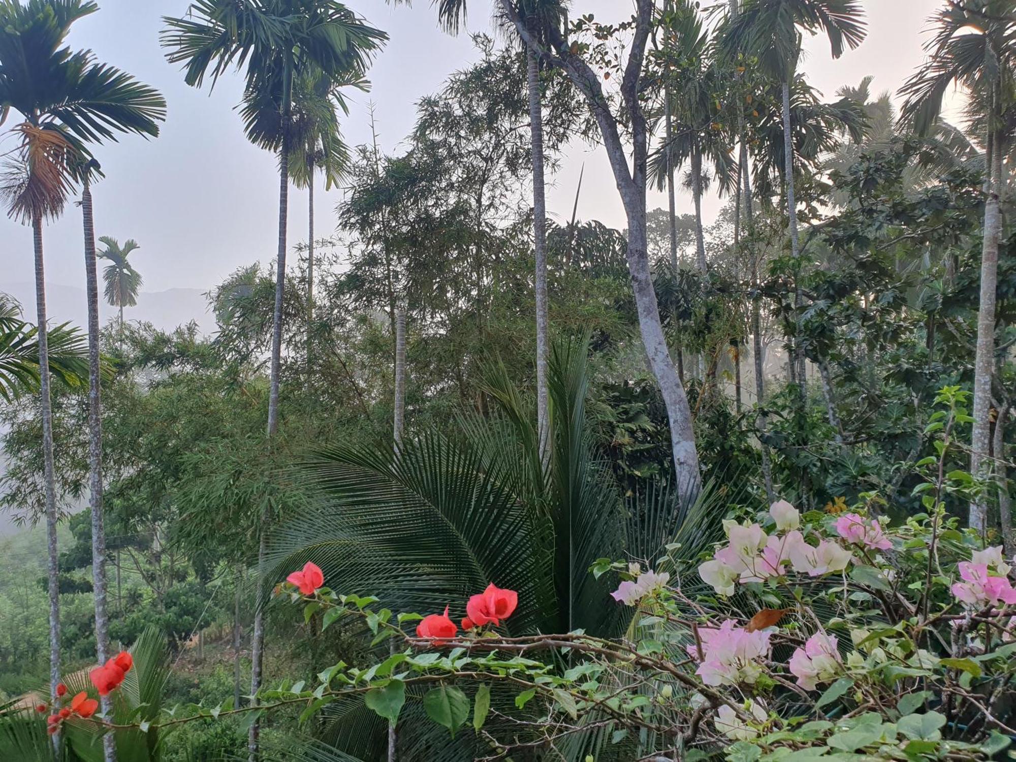 Rainforest Lodge, Deniyaya Singheraja Экстерьер фото