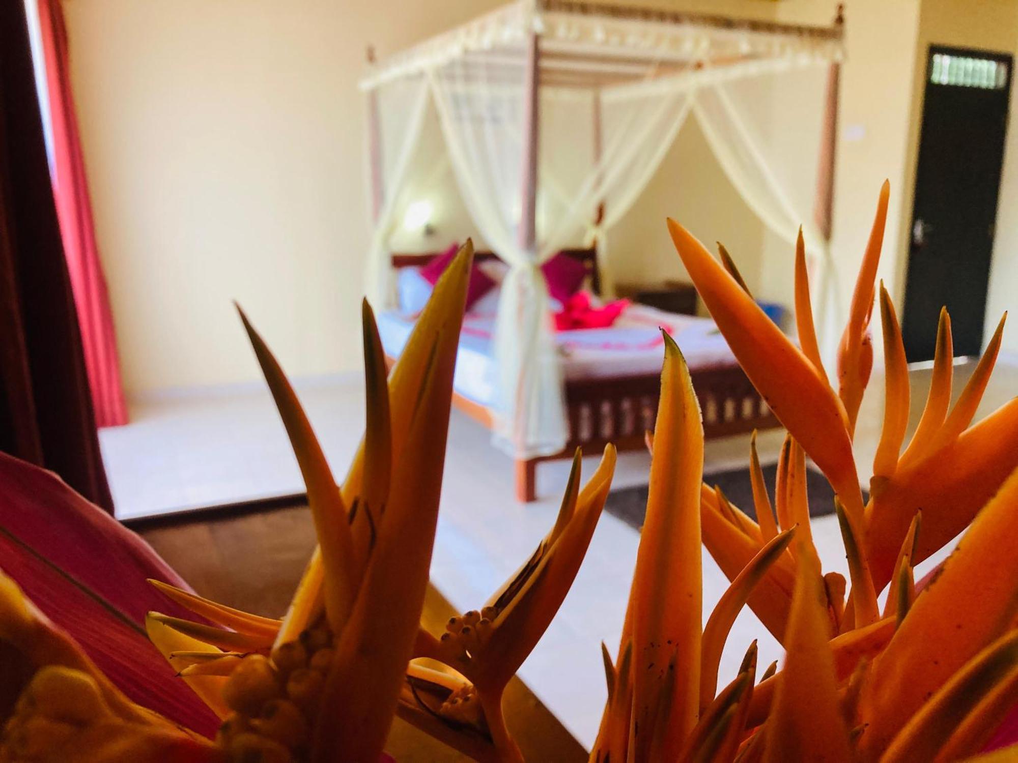 Rainforest Lodge, Deniyaya Singheraja Экстерьер фото